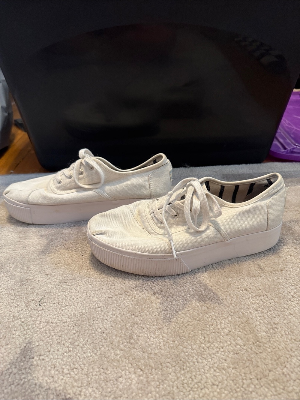 Toms Women's Canvas Platform Sneakers in Off-White